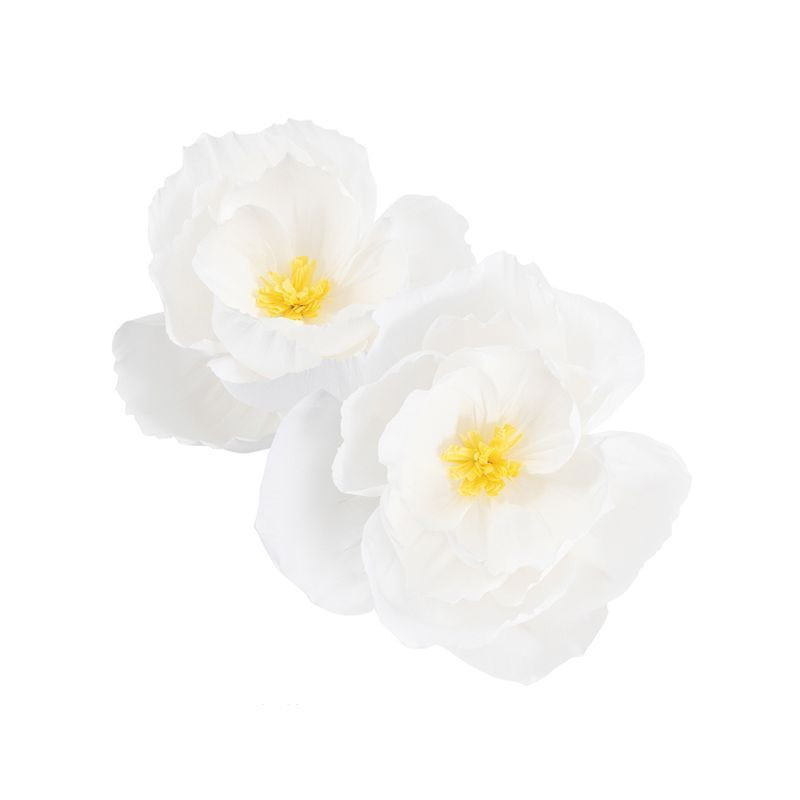FIORI DEC. CARTA BIANCO 40/50CM 2PZ EAN 8010052407629 INGROSSO ACCESSORI PARTY FIORI DEC. CARTA BIANCO 40/50CM 2PZ EAN 8010052407629 INGROSSO ACCESSORI PARTY