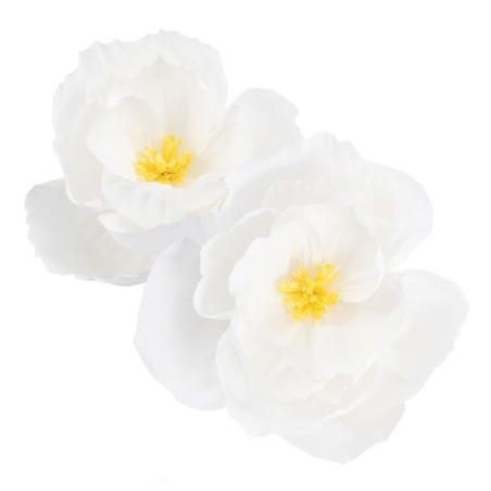 FIORI DEC. CARTA BIANCO 40/50CM 2PZ EAN 8010052407629 INGROSSO ACCESSORI PARTY