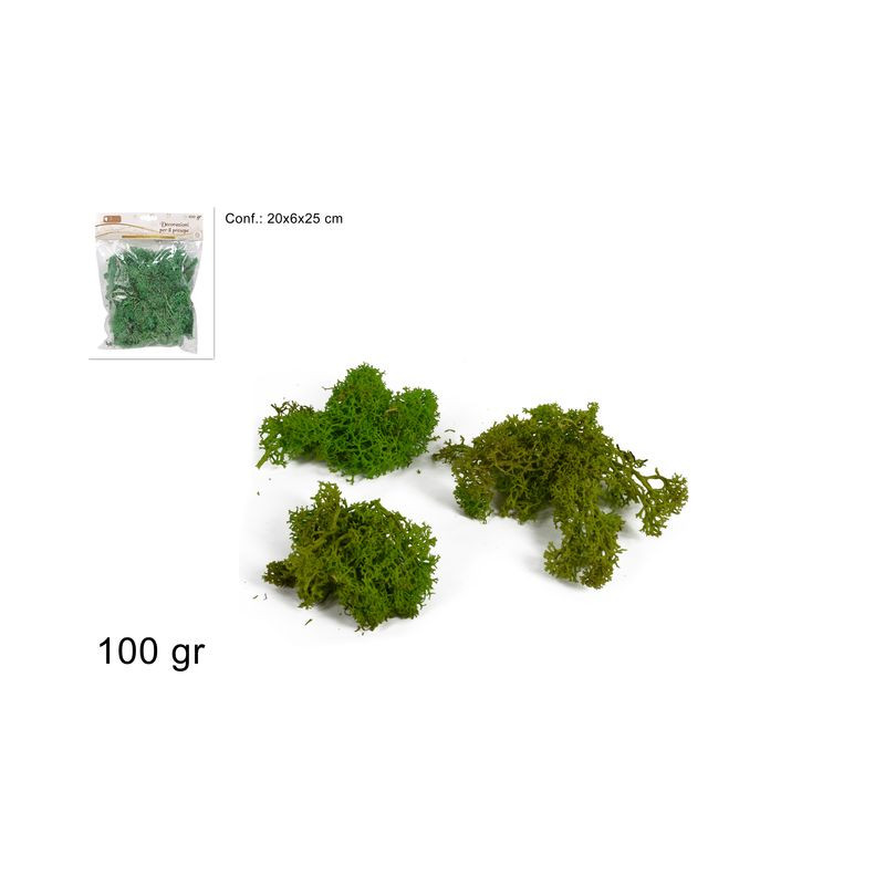 LICHENE IN BUSTA 100GR EAN 8053482260044 INGROSSO ACCESSORI PER IL PRESEPE LICHENE IN BUSTA 100GR EAN 8053482260044 INGROSSO ACCESSORI PER IL PRESEPE