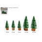 ALBERI PINI 5PZ 5-7 5-8CM EAN 8053482160276 INGROSSO ALBERI DI NATALE ALBERI PINI 5PZ 5-7 5-8CM EAN 8053482160276 INGROSSO ALBERI DI NATALE