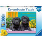 PUZZLE 300 PZ XXL VITA DA CUCCIOLO EAN 4005556129508 INGROSSO PUZZLE X PICCOLI PUZZLE 300 PZ XXL VITA DA CUCCIOLO EAN 4005556129508 INGROSSO PUZZLE X PICCOLI