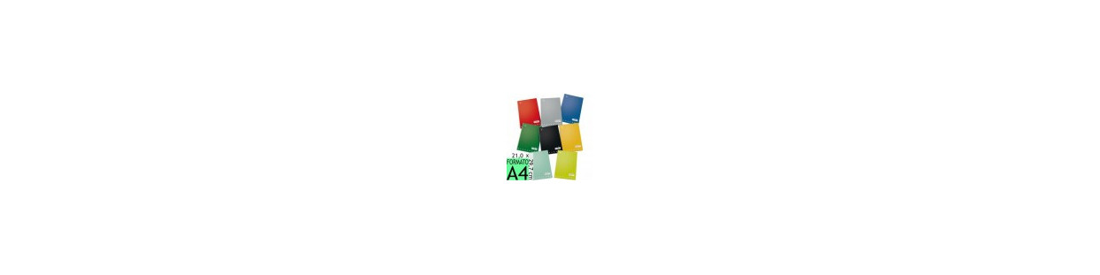 QUADERNONI 100 GR ingrosso quadernoni quaderno maxi